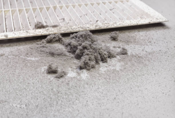 Best Affordable Duct Cleaning Services  in The Meadows, FL