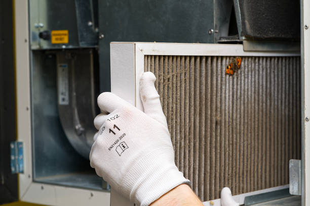 Best Best Air Duct Cleaning Company  in The Meadows, FL