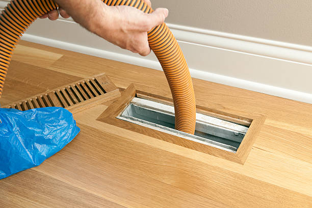 Best Affordable Air Duct Cleaning  in The Meadows, FL