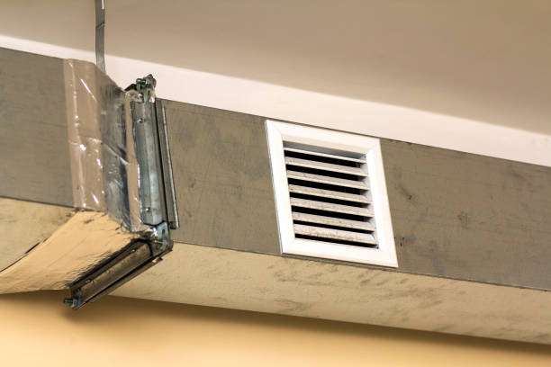 Best HVAC Maintenance and Cleaning  in The Meadows, FL